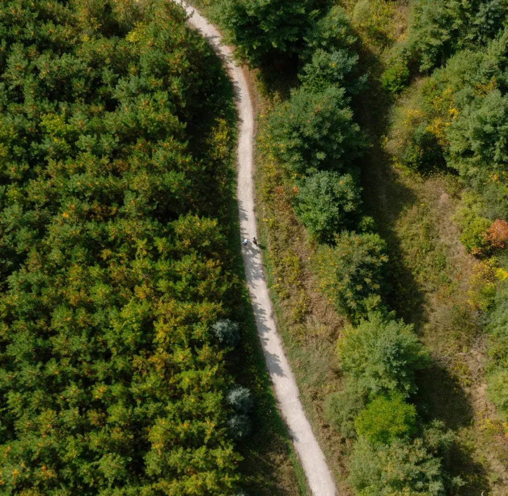 Green spaces to explore — Bridgelands lifestyle image